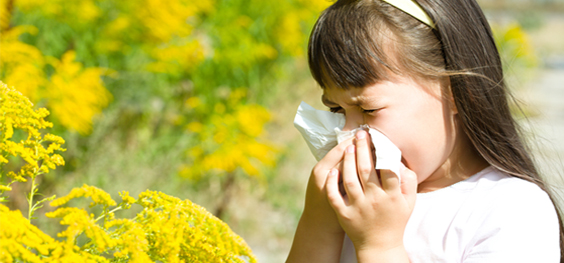 טיפול ברפואה סינית באלרגיות לילדים