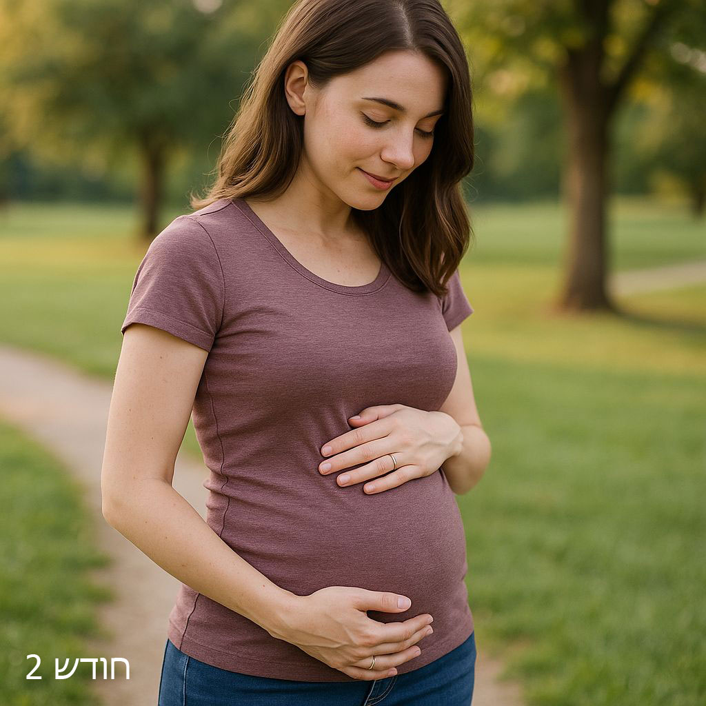 בטן הריון שבוע 7-10 (חודש 2)