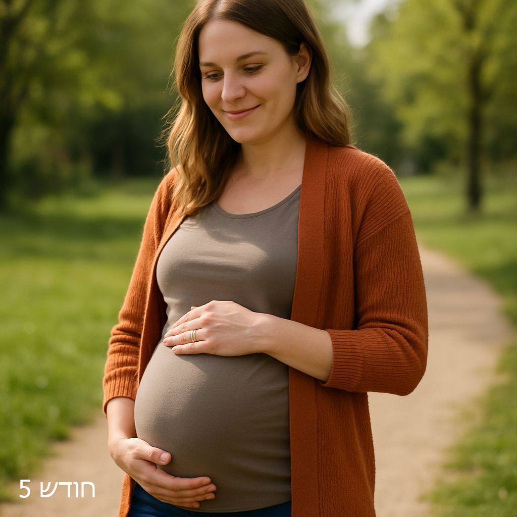 בטן הריון שבוע 20-23 (חודש 5)