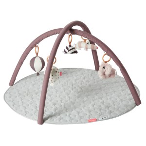 משטח פעילות done by deer