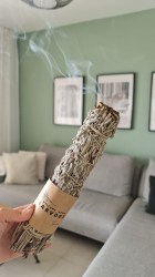 53a88d_21e597fe8c154bcf85bec9971963738d_mv2