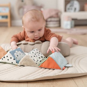 קובית התפתחות של done by deer