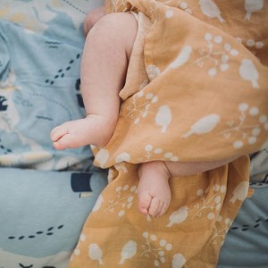 Nogilistudio-138-510x510